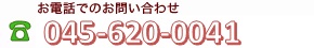045-620-0041