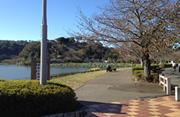 藤枝連華寺池公園